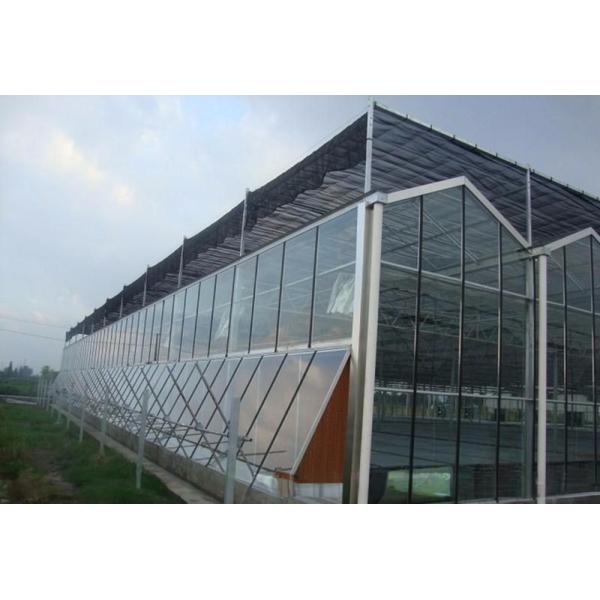 Hot Galvanized Steel Frame Structure Venlo Glass Greenhouses for Vegetable Agriculture
