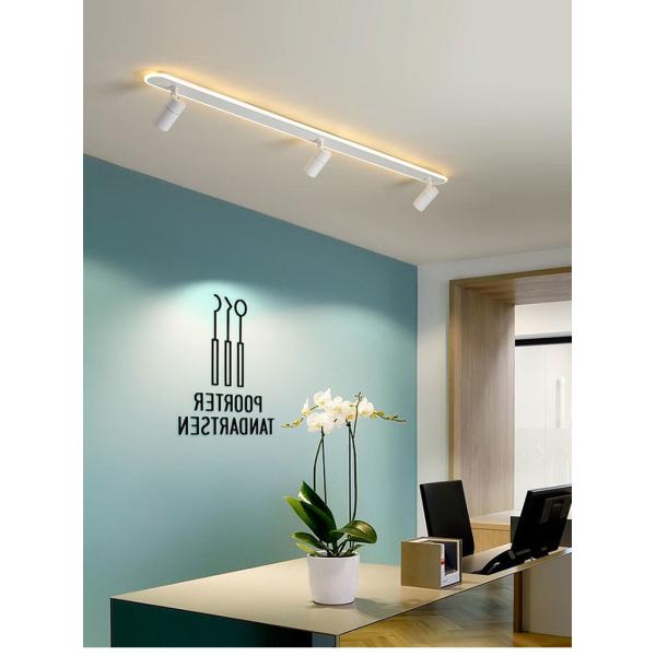 Modern Led Ceiling Lights For Living Room Bedroom shop track light(WH-MA-216)