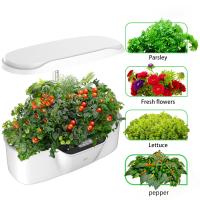système d'irrigation hydroponique de la Manche de 2.5L Herb Garden Light Kits NFT 12W