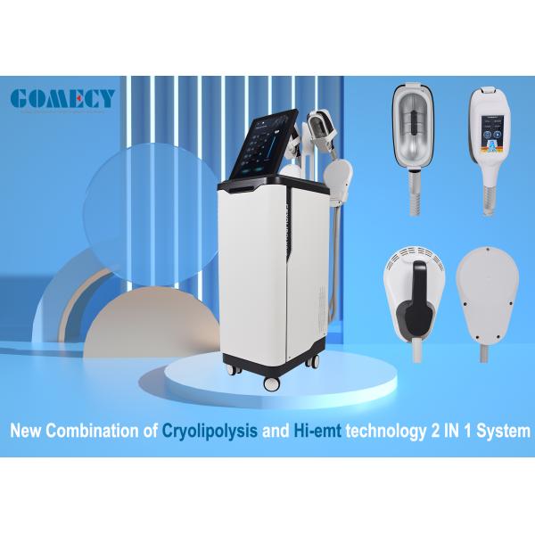 Тело техника Cryotherapy уменьшая машину для уменьшения жировой клетки липосакции