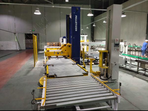 Máquina de paletização automática de caixas de galpão, caixas de embalagem de caixas de cartão