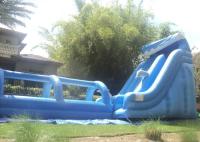 glissière gonflable extérieure grande de 21FT et glissière du glissement N de 32ft longue gonflable/vague avec la piscine