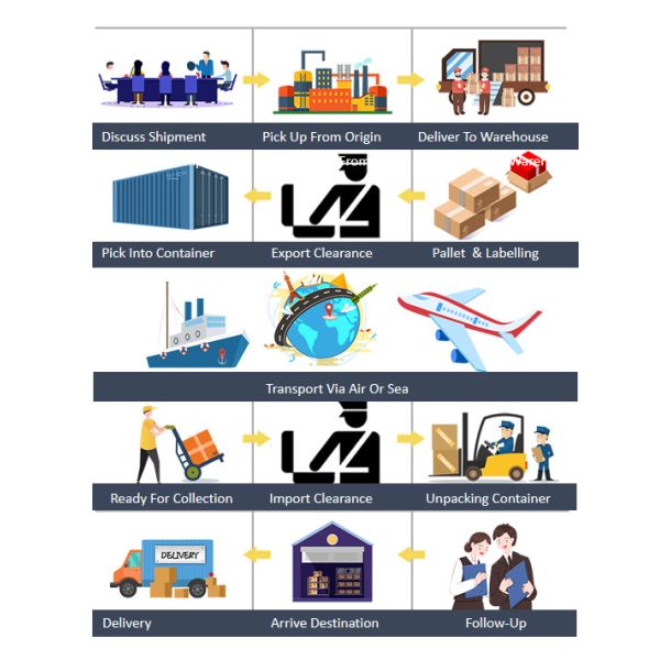 Professional Freight Service DDP Sea Shipping From China To USA Canada