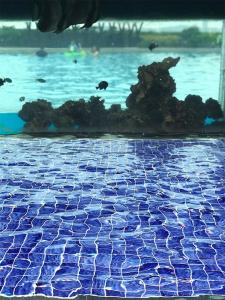 Blue And Green Color Ceramic Mosaic 48X48CM For Swimming Pool