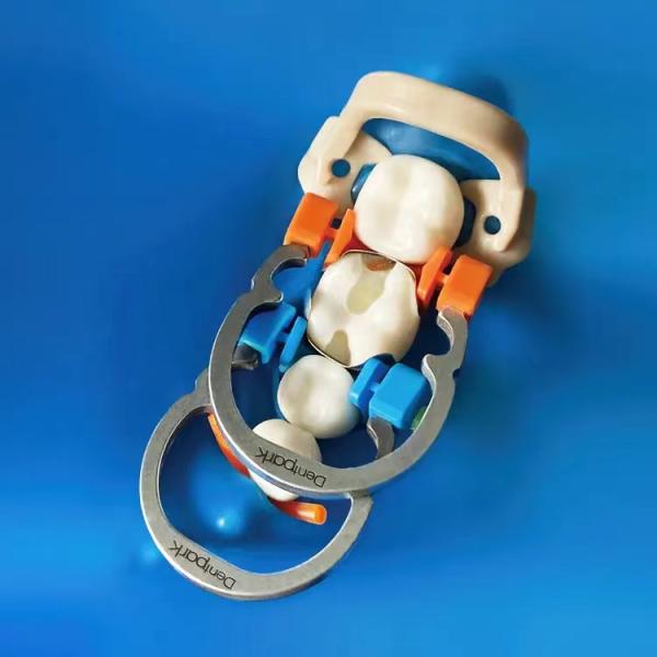 Dental Sectional Matrix System A2 Bands Clamp Ring Resin Holder Clip Ring