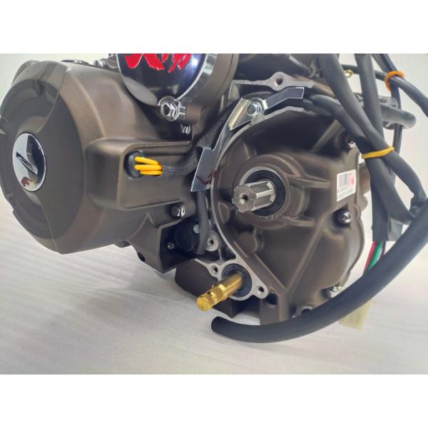 Max.Power 10.2/8000 Gasoline Tricycle Engines Assembly from DAYANG for Chinese Motorcycles