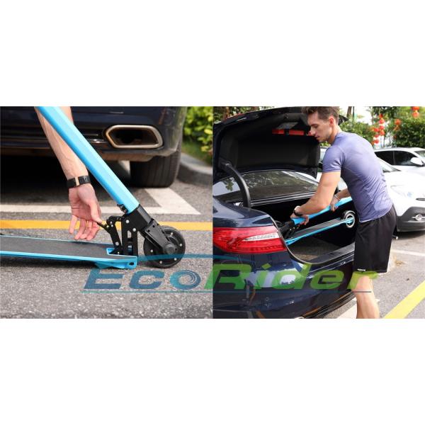 Portable Folding Motorized Scooter 350W 24V Lithium Folding Electric Skateboard