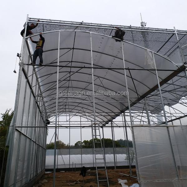 Single Layer Greenhouse Hydroponics System Wrought Iron Greenhouse With Film Surface