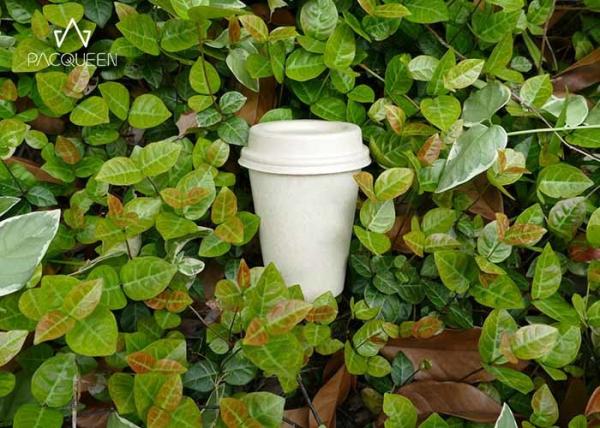 Coffee 100% Compostable Paper Cups Customized Logo For Fast Food Restaurants