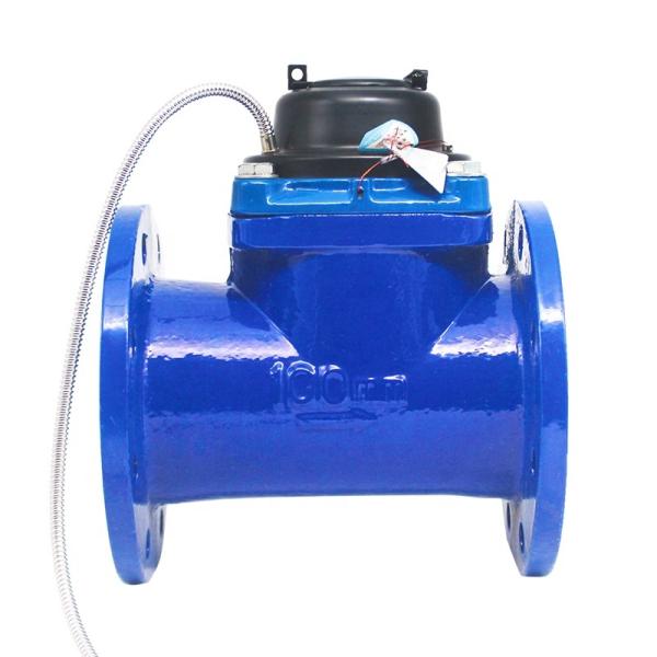 Dn 250 R80 Water Meter NB IoT Remote Bulk Water Meters with Mid Certificate