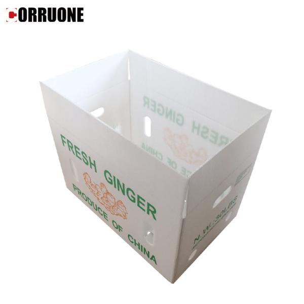 Corflute Recycled Fruit And Vegetable Packaging Boxes Polypropylene