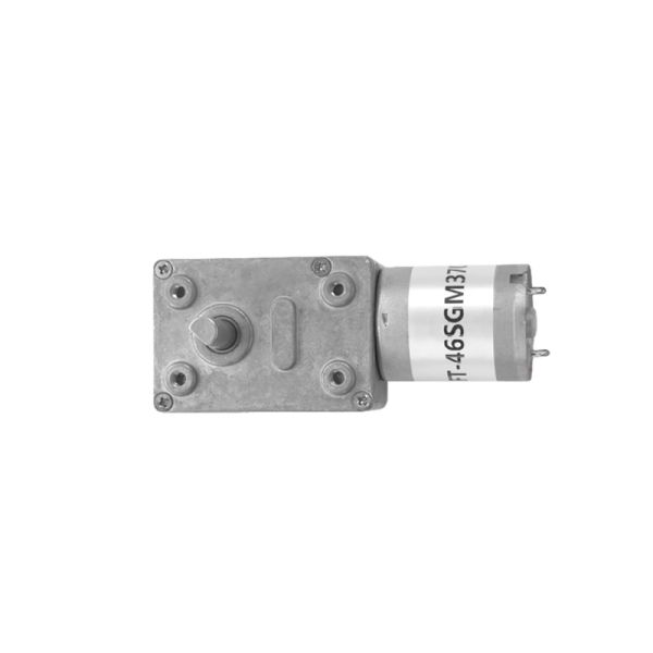 Customization FT-46SGM370 Slow Speed Big Torque Worm Gear Motor  6v 12v 24v Brush DC Motor