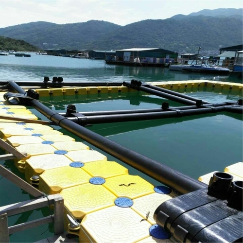 Oversized Square Floating Fish Cage, Industrial Commercial Aquaculture Net Cage, High Strength HDPE Cage for Tilapia Breeding with Anti-Bird and Anti-Escape Design