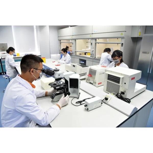 Biodegradable Plant Fiber Wood Cellulose Fiber Onsite Inspection