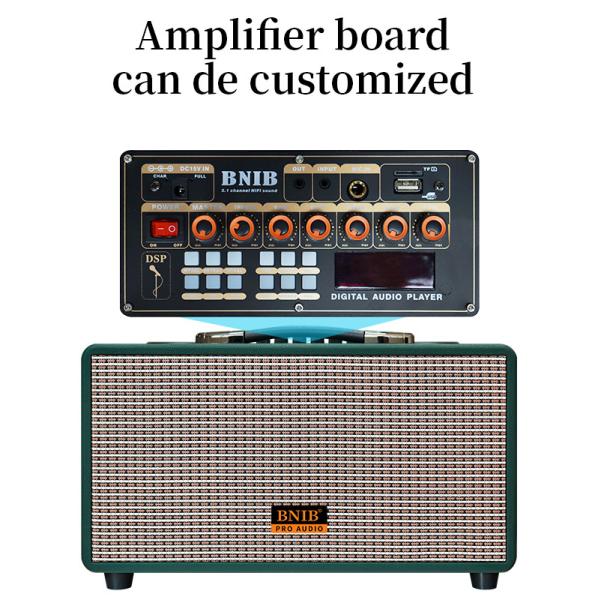 Bluetooth Outdoor Portable Speaker 6.5 Inch Karaoke Loudspeaker With Usb Port