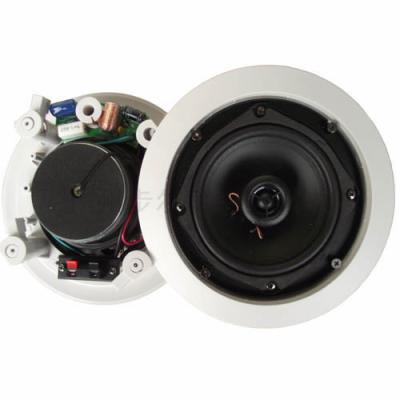 40W PA System Indoor Ceiling Speakers 100 - 20KHz Frequency Response For Gym Rooms