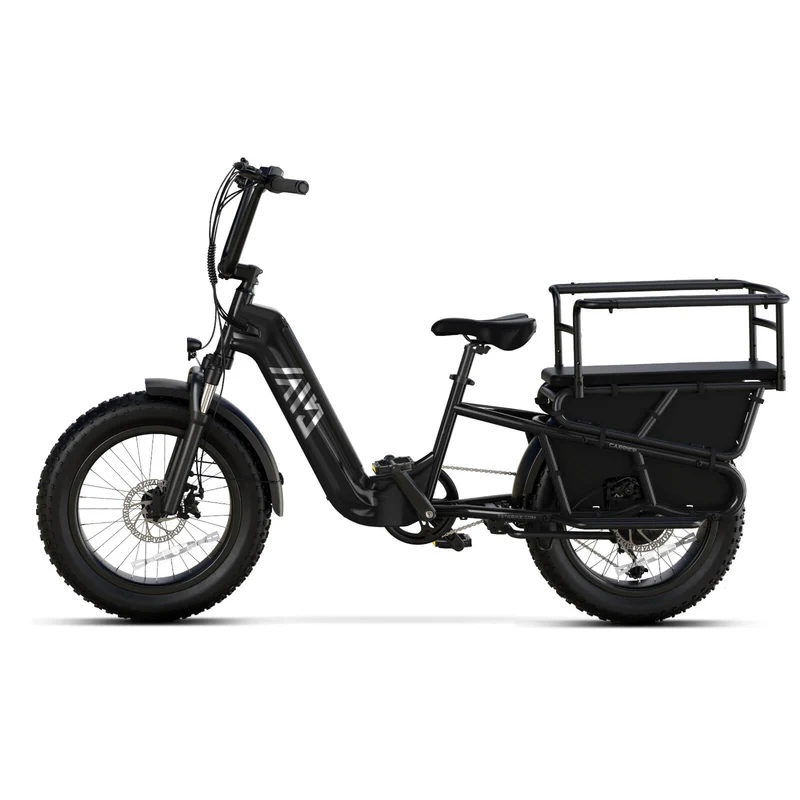 20 Inch Fat Tire Rack for Carrying Goods & Passengers, Powerful Motor, Long Range Long Tail Electric Bike with Cargo