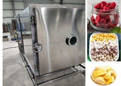 Industrial Vacuum Food Freeze Dryer Machine 100Kg 200Kg
