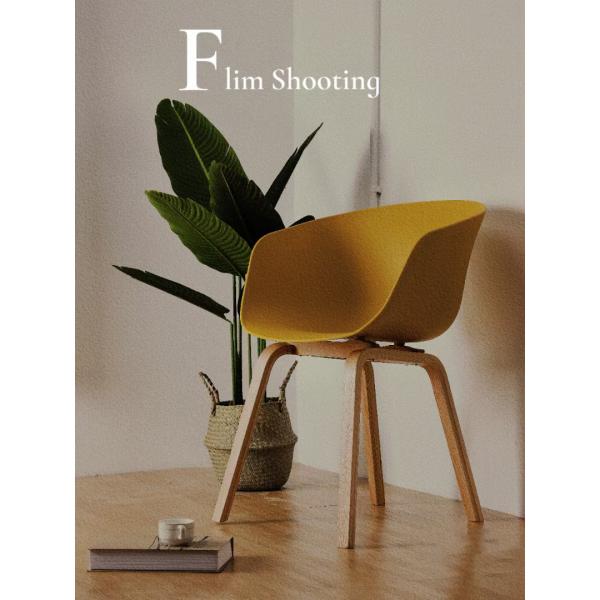 Patented Wooden Leg Plastic Chair Polypropylene Back Multicolor In Living Room