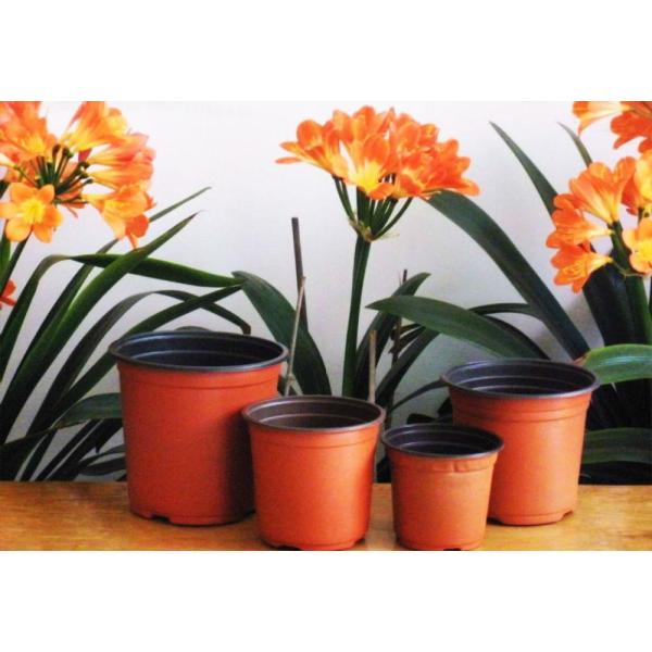 баков завода полипропилена Dia Брауна 10cm HDPE верхних УЛЬТРАФИОЛЕТОВЫЙ стабилизированный