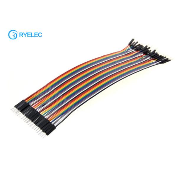 20cm Male To Male Flat Ribbon Cable Assembly For Advertising Machine 2.54mm Pitch