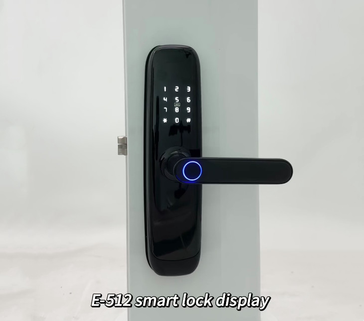 OEM E-512 Tuya Пароль Биометрический электронный отпечаток пальцев Wifi дверь Умный цифровой дверной замок