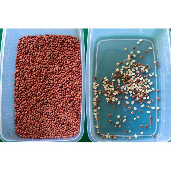 Intelligent 64 Channels CCD Grain Color Sorting Machine