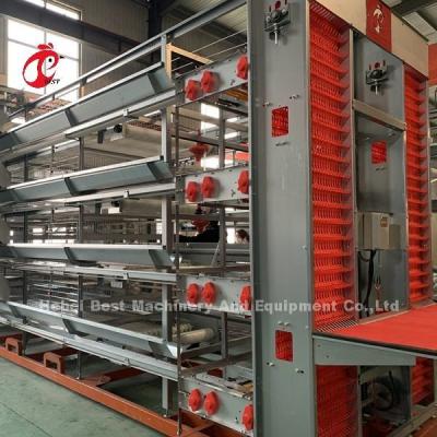 H And A Type Automatic Chicken Cage EquipmentHot Galvanized  Long Lifespan Adela