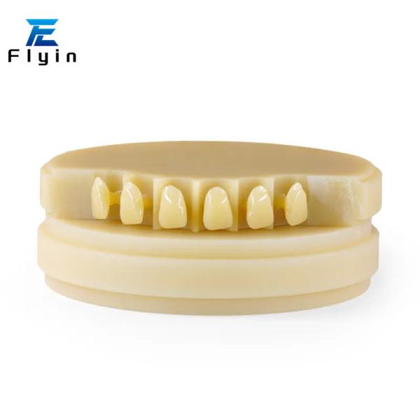 CAD/CAM Dental PMMA Disc For CAD CAM Dental Milling Machine
