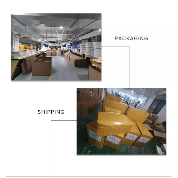 Ясные стекла титана ацетата объектива, Unisex OEM стекел рамки металла