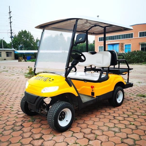 Carrinho de golfe elétrico 40mph EV 4 lugares Buggies carro ODM