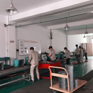 Zhejiang Lion King Ventilator Co., Ltd.