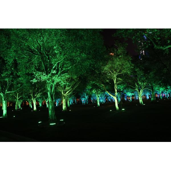 Сада светов потока ландшафта СИД IP65 36W лампа дерева на открытом воздухе водоустойчивая серповидная