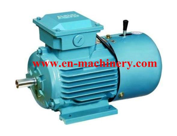 AC/DC Synchronous Generator Motor for Crane(CE, TUV, SGS)  INVERTER DUTY MOTOR
