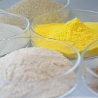 Cellulase and Hemicellulase Mechanical Pulp Specialized Enzyme