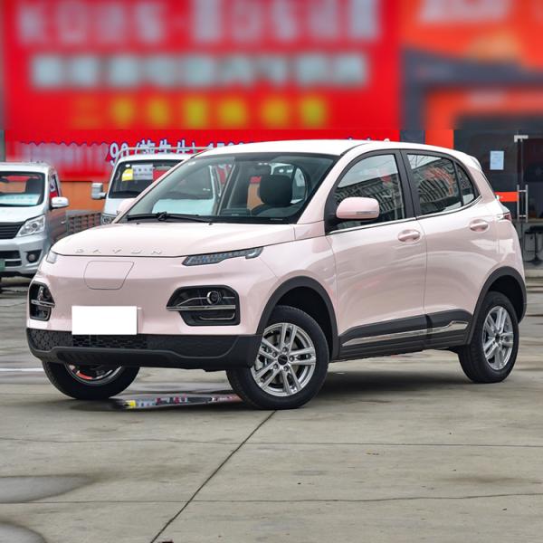 Electric SUV Dayun Yuehu Left and Right Rudder Electric Vehicle for Energy Vehicles