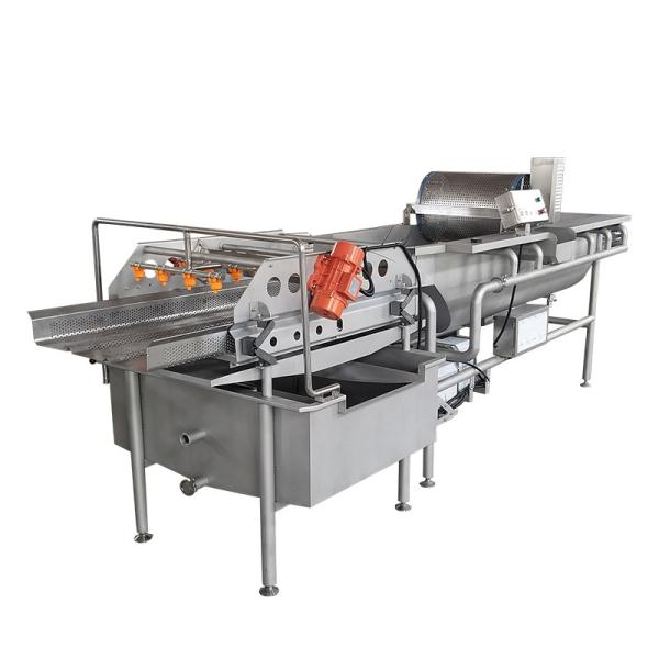 Commercial 304SUS Vortex Vegetable And Fruit Washing Machine For JY-4200