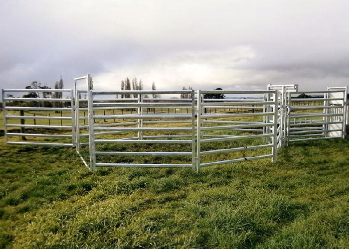 High Strength Q345 Steel Horse Fence Anti Chew Coating 1.8m Height