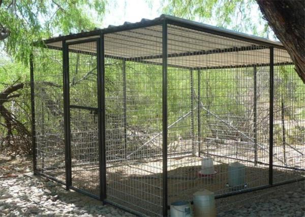 Customized  Bird Aviary /Parrot Aviary Customized Own Size