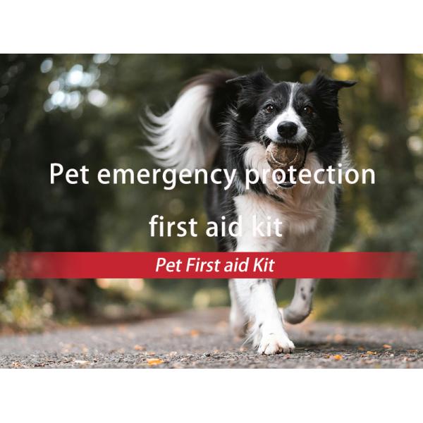 CE Emergency Pet First Aid 23cm Care First Aid Kit Customer'S Logo