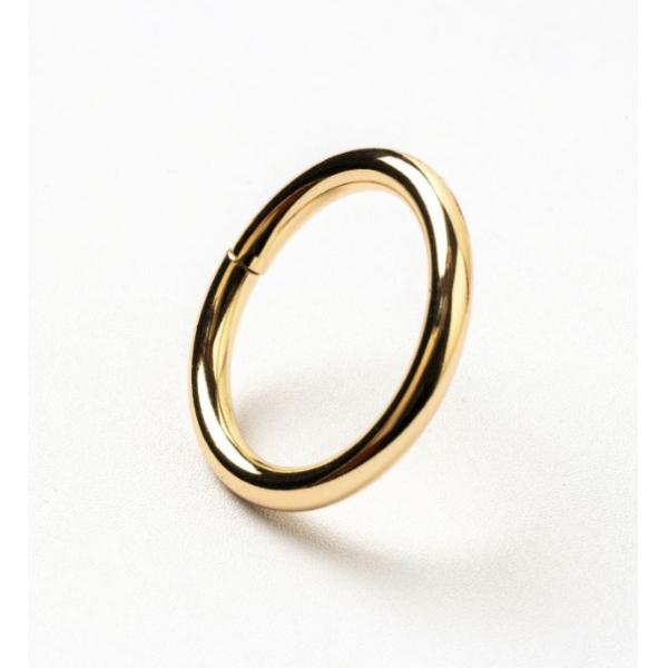 Колцеобразные уплотнения весны ржавчины устойчивые сплавляют пуск вокруг щелчковой пряжки для пояса багажа поводков собаки