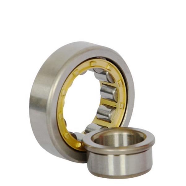 SS P4 V2 V3 V4 NJ208 Cylindrical Roller Bearing