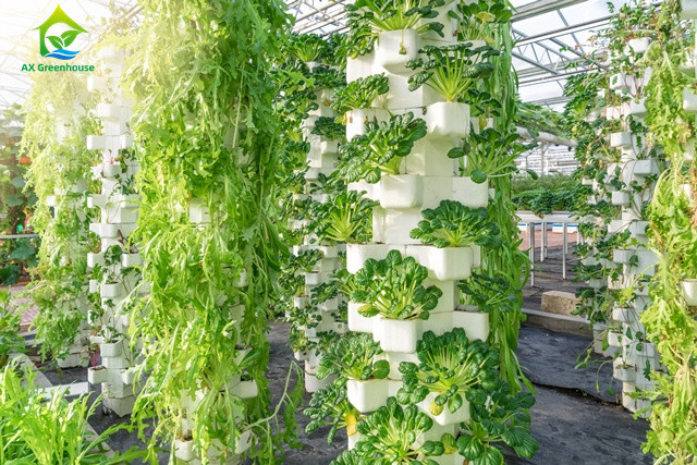 Система салата системы 75*50mm NFT окружающей среды дружелюбная Soilless Hydroponic