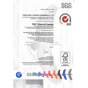 Foshan Chris V.G Printing Consumables Co., Ltd. Certificaciones