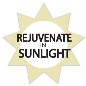 Home Office Car Scented Sachet Refreshing Bamboo Fragrance for Drawers and Closets