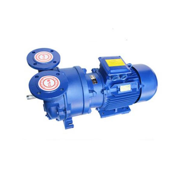 Agua Ring Vacuum Pump del arrabio 11KW SS316L 415V