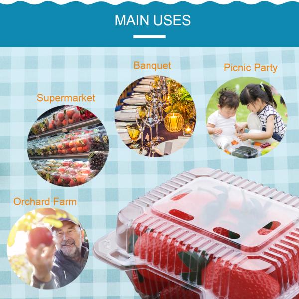 Fresh Vegetable / Fruit Biodegradable Plastic Packaging Transparent Glossy Lamination