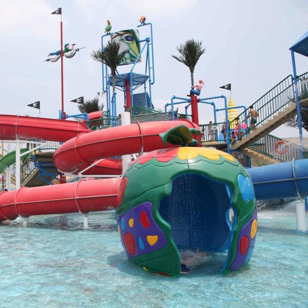Equipamento colorido personalizado do parque do Aqua do pulverizador da carpa para o divertimento das crianças/crianças na piscina
