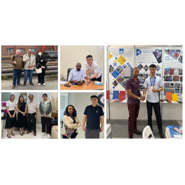 Hot Rolled Carbon Steel Coils S355jr A572 Gr.50 8mm 9.75mm 12.7mm Hr Ms Coil