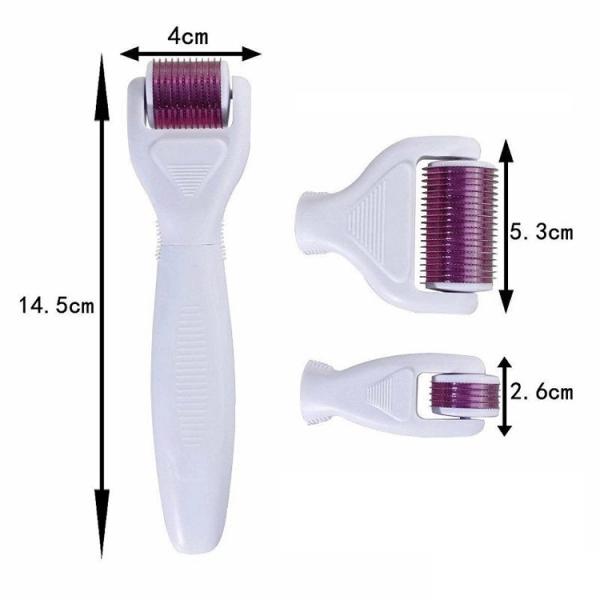 Stainless Steel/Titanium Dermaroller for Lips 4 in 1 Micro Needle Kit